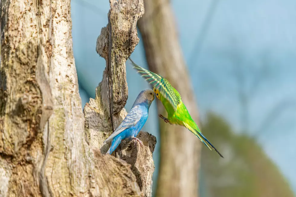 Photo by Dim Hou on Unsplash