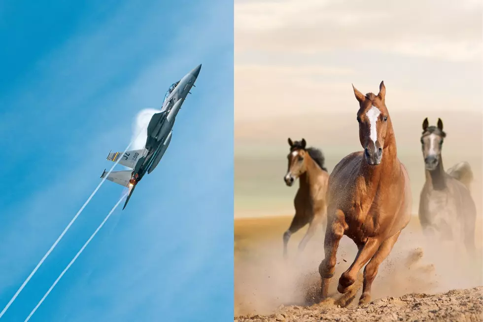 A jet flies while horses run