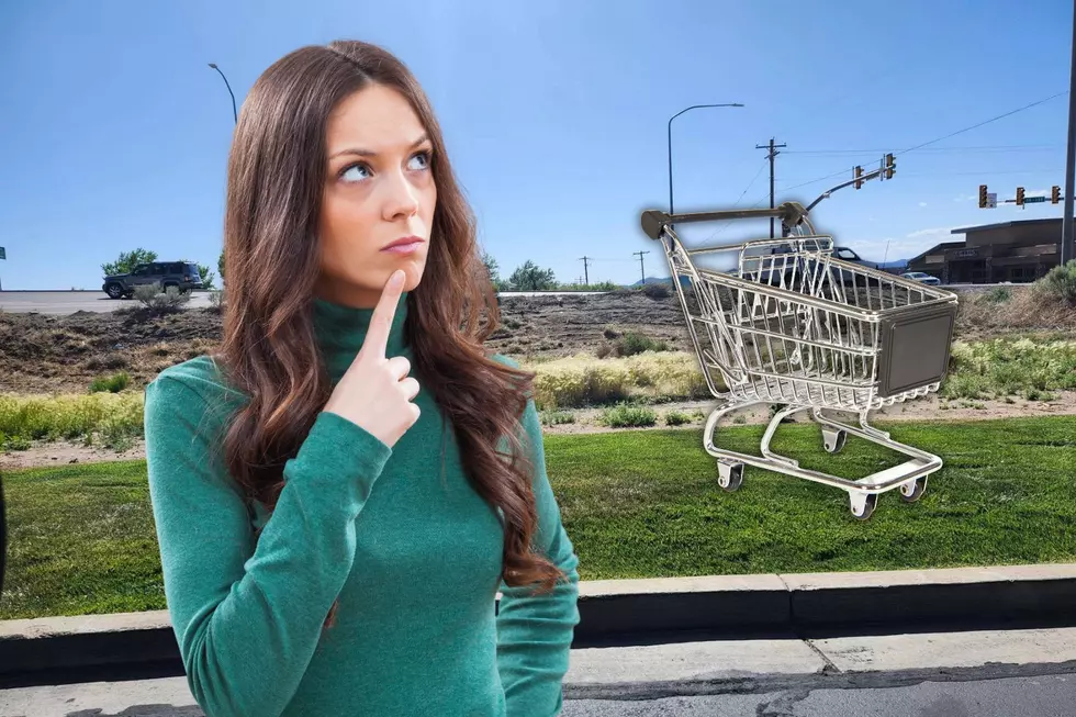 Could Returning Shopping Carts Save Utahns Money?