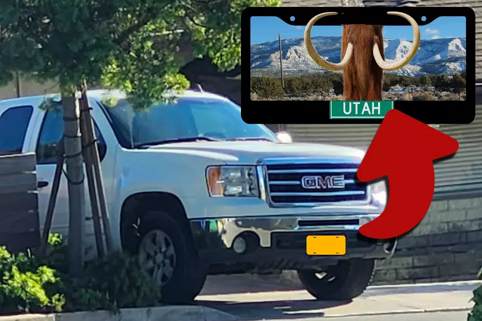 Some Ideas For The New Utah Mammoth License Plate
