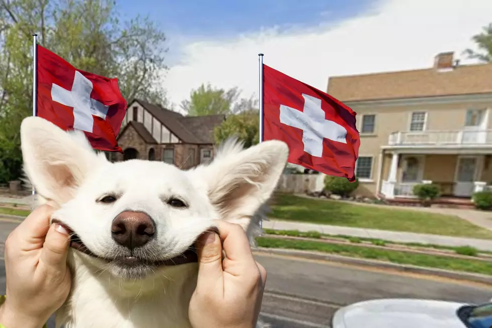 Swiss Heritage Festival Draws Crowds To Santa Clara