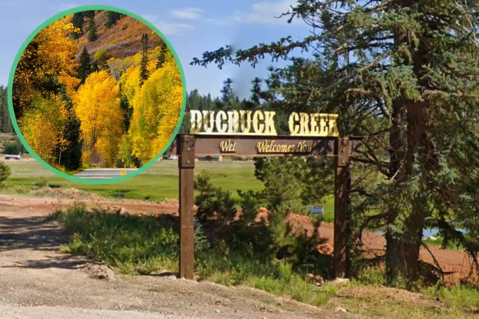 This Celebration is the Best Way to See Fall Colors in Southern Utah