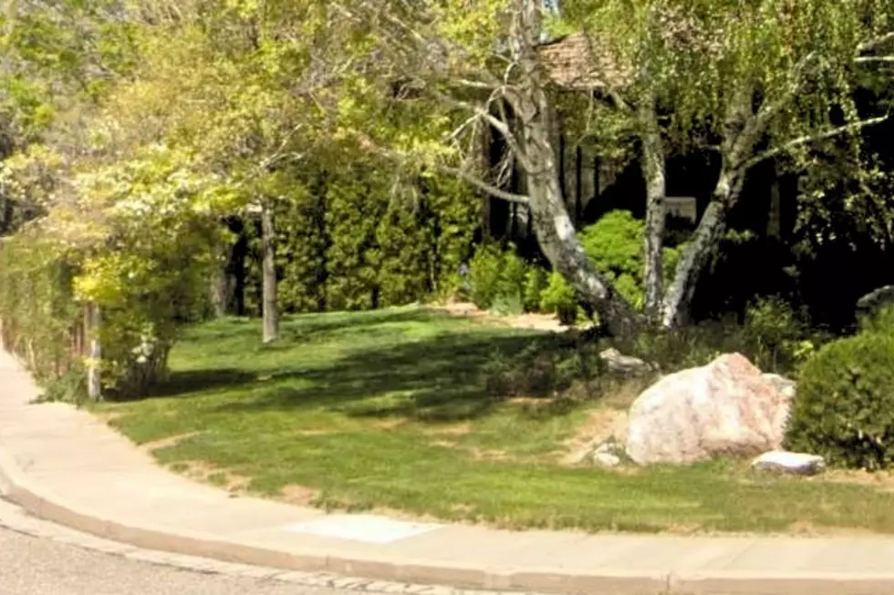 Three Utah Landscaping Favorites Are Inadvertently Welcoming Mice, Ticks, And Snakes