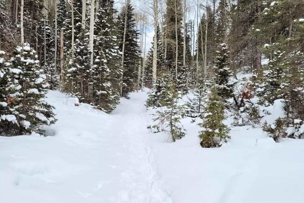 Four Friends Hear Mysterious Footfalls Camping Near Skinwalker Ranch In Utah