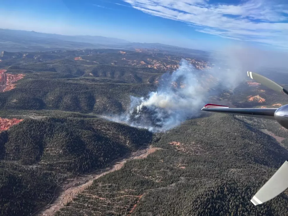 Public Asked To Avoid Left Fork Fire Burning In Dixie National Forest