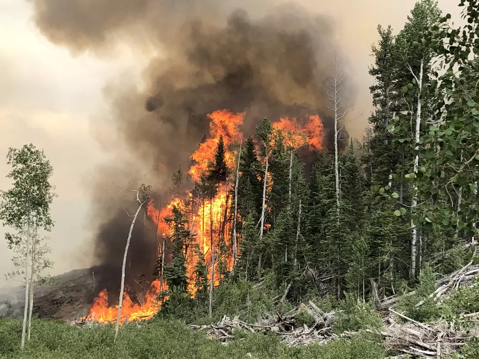 Reignited Wildfire Grows To 2,000 Acres