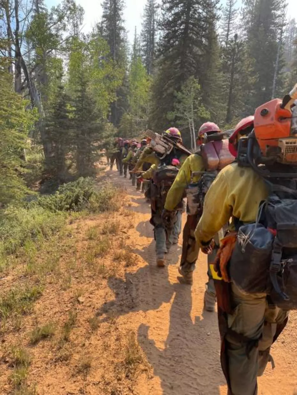 Left Fork Fire Now 93% Contained