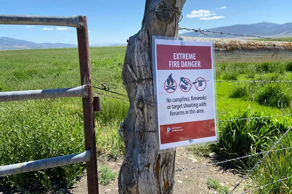 Target Shooting On Wildlife Management Areas Temporarily Prohibited