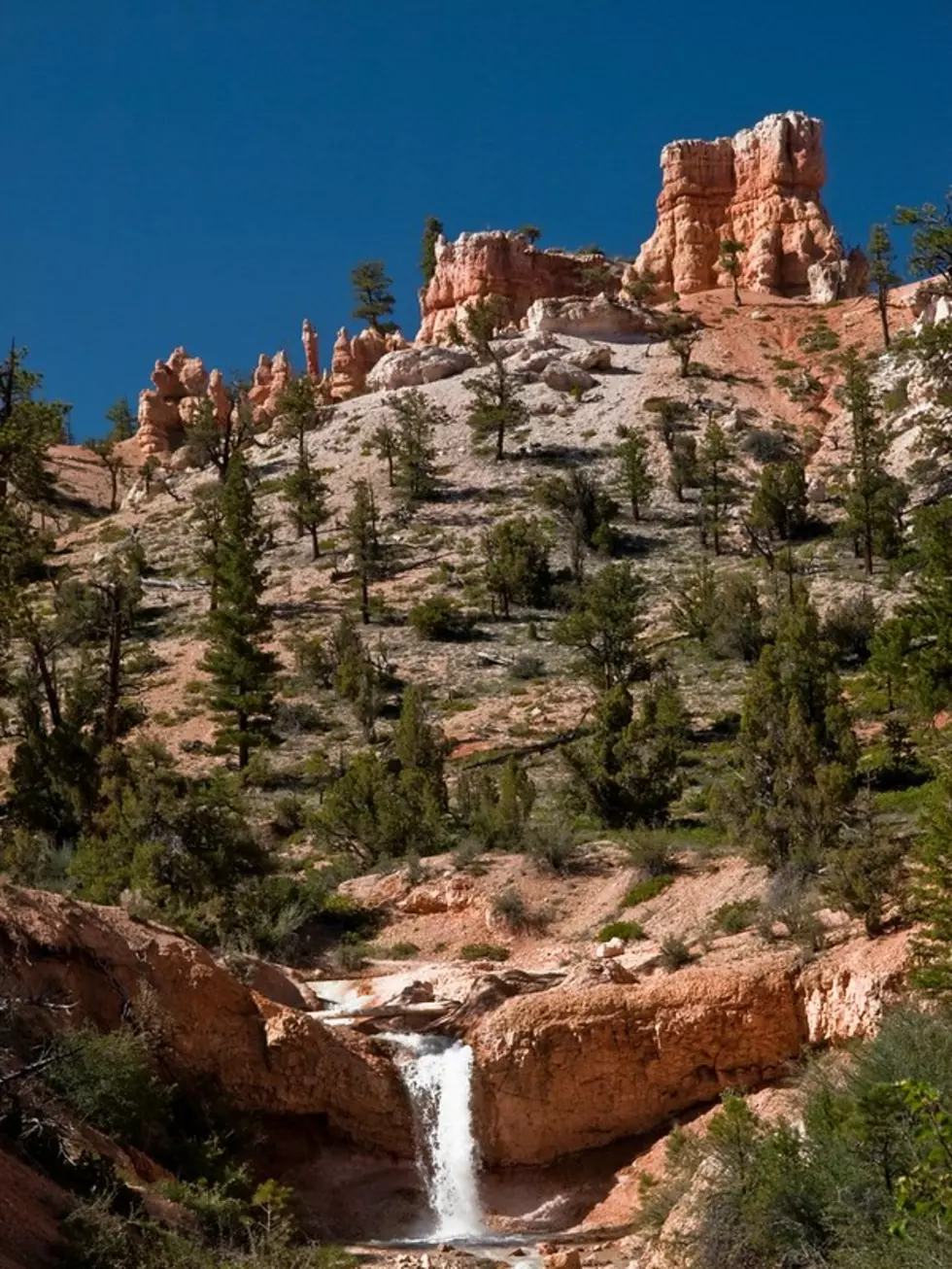Bryce Canyon Attraction Among Top In 2022 Ranking