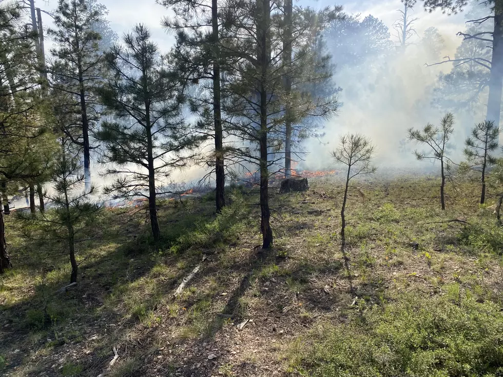 U.S. Forest Service
