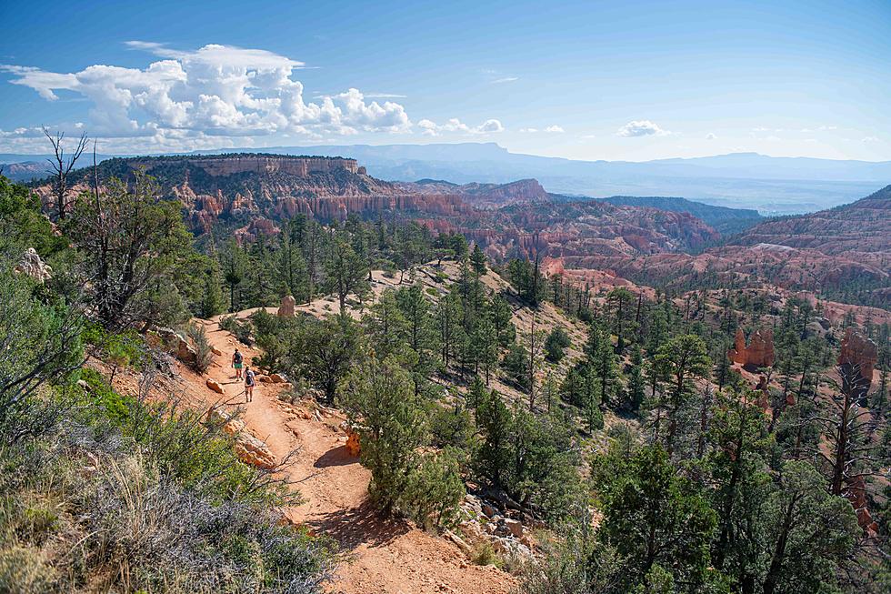 Flash Flood Likely Cause of Bryce Canyon NP Fatality