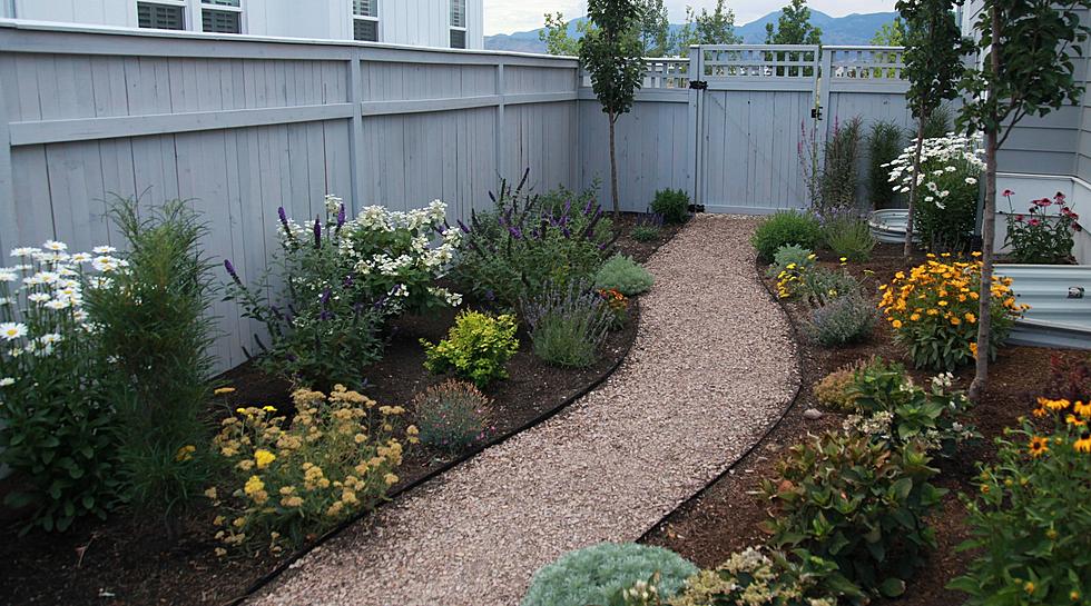 Discover The Secrets To Designing A Water-Efficient Yard In Cedar City