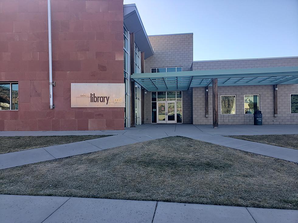 Unleashing Creativity And Learning: Inside Cedar City Library In The Park