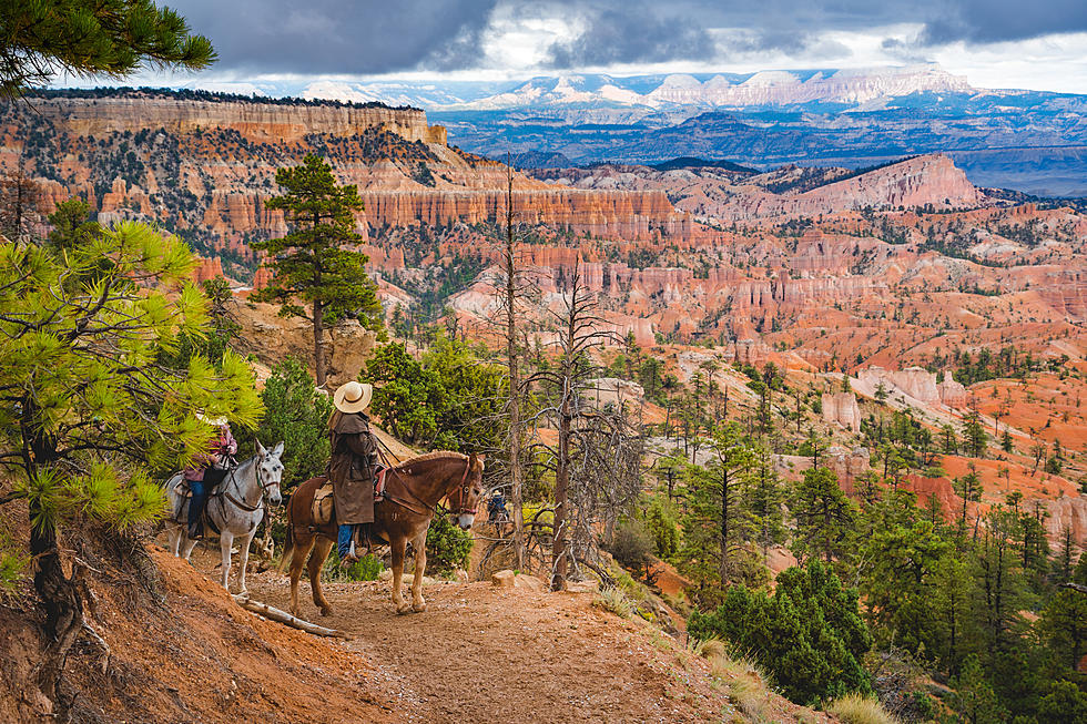 Reserve Your Private Stock Ride Online At Bryce Canyon National Park