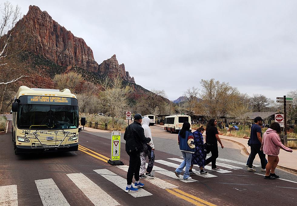 Have Your Say: Proposed Upgrades At Utah’s Zion National Park