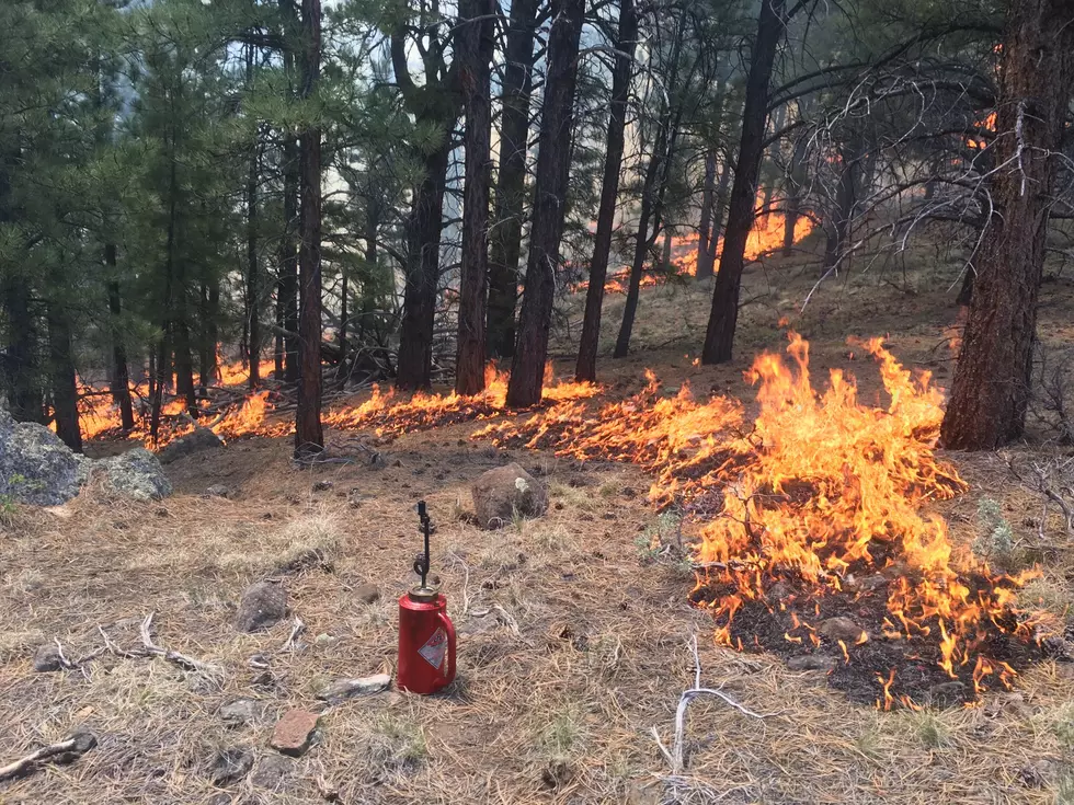 Prescribed Fires Set For Spring And Fall 2024 In Dixie National Forest