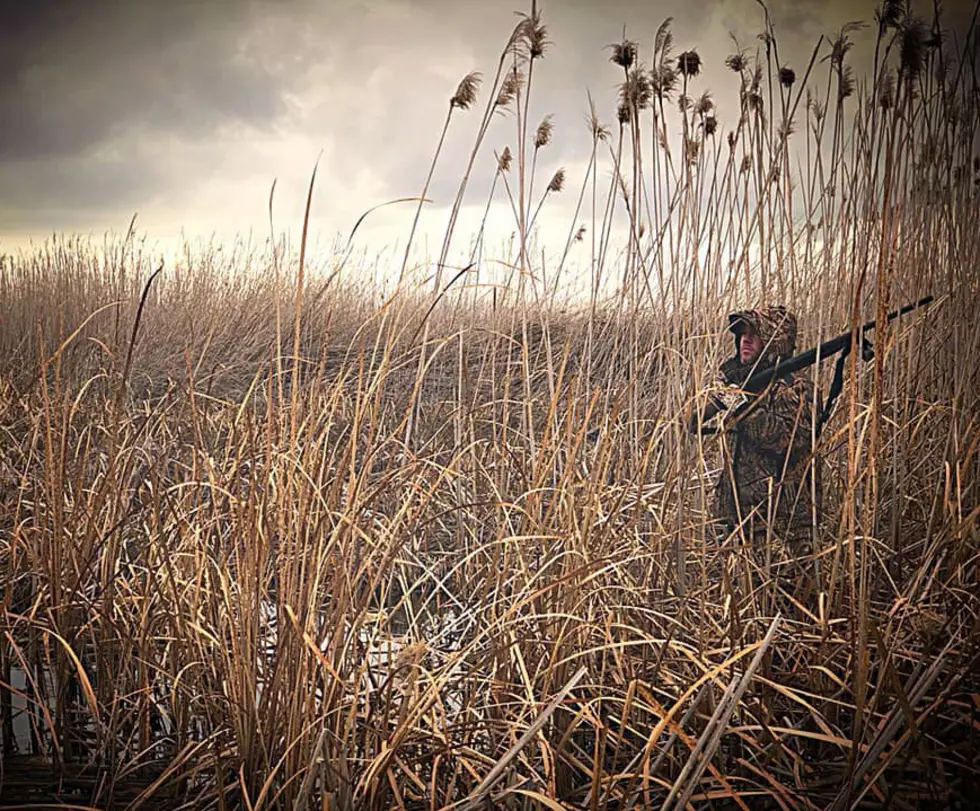 Tips - duck hunting