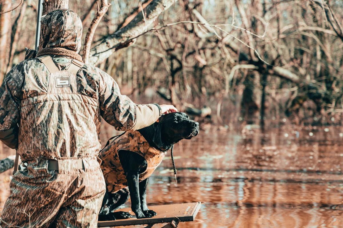 Utah's Hunting Season: Tips For Upland Game And Birds