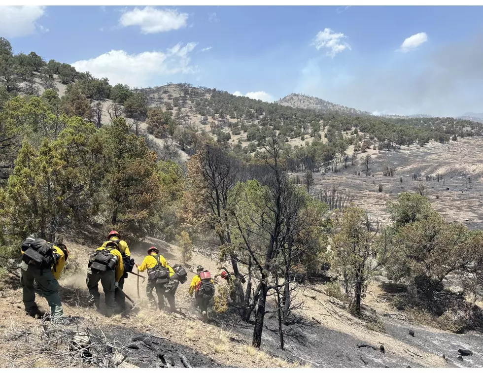 Courtesy U.S. Forest Service