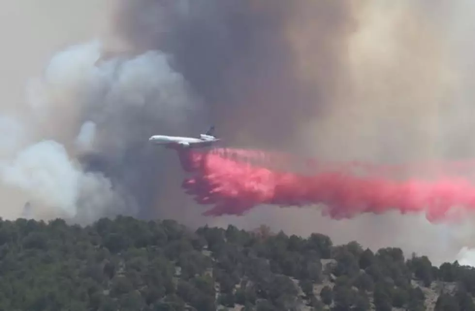 Courtesy U.S. Forest Service