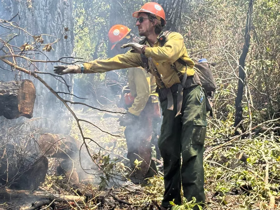 Courtesy U.S. Forest Service