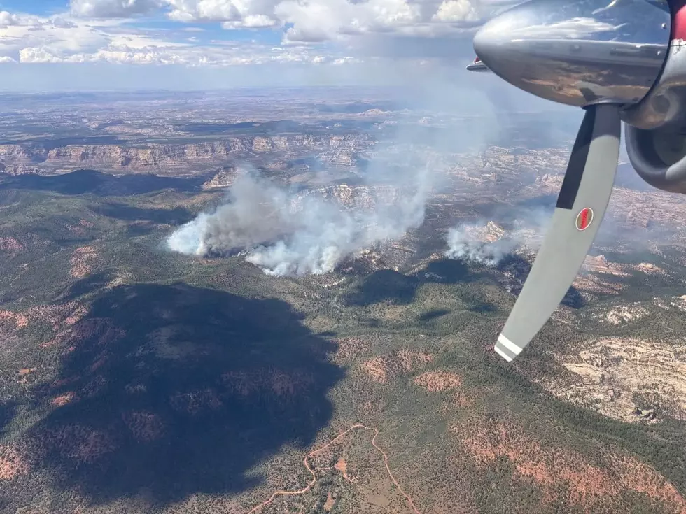 Courtesy U.S. Forest Service