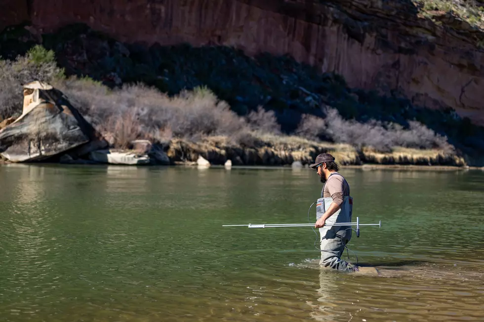 Courtesy Utah Division of Wildlife Resources