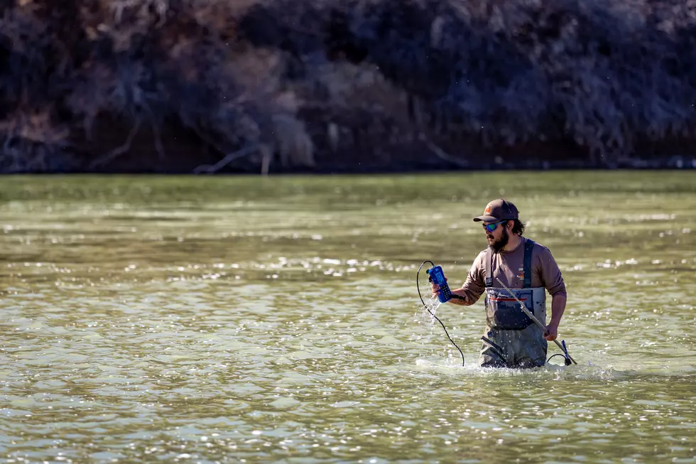 Courtesy Utah Division of Wildlife Resources