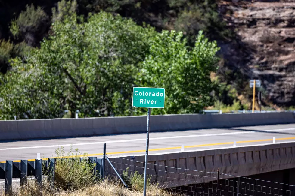 Utah Finds Zebra Mussel Genetic Traces In Colorado River Water Samples