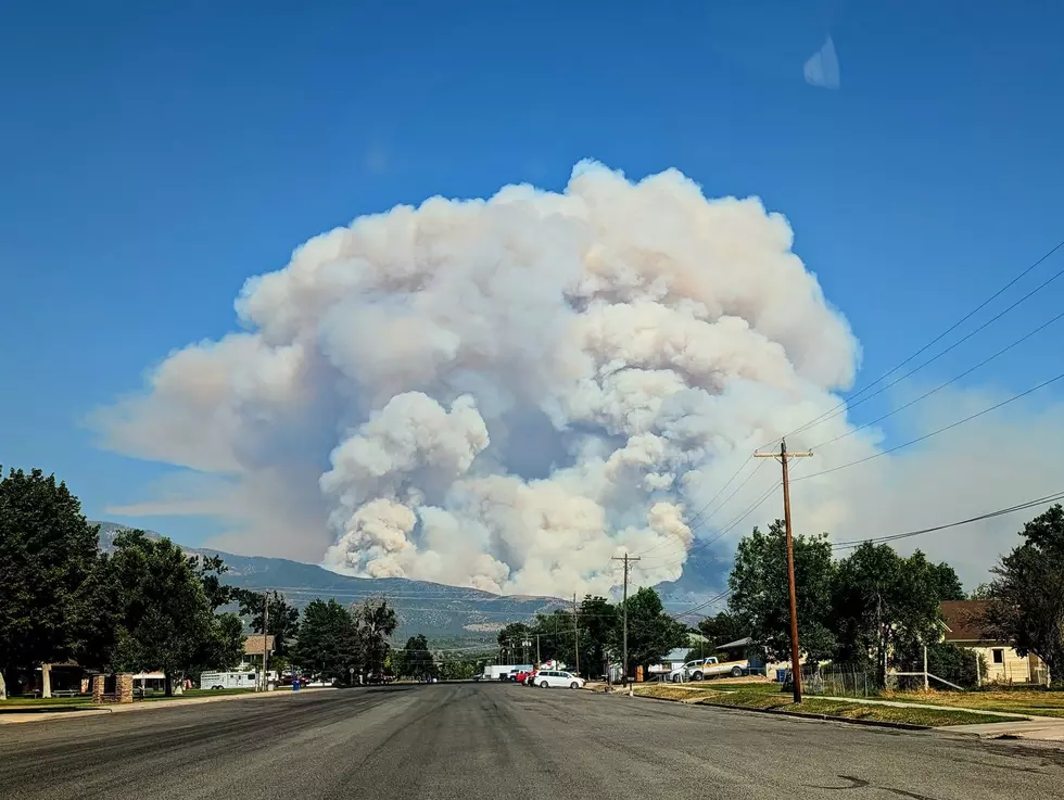Courtesy U.S. Forest Service