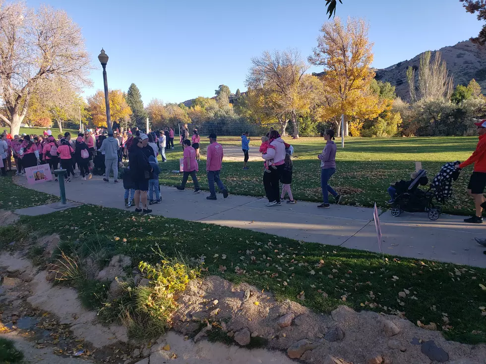 Breast Cancer Survivors And Supporters Gather This Weekend In Cedar City