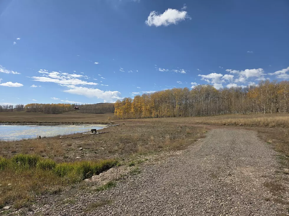Golden Aspens And Red Cliffs Make Cedar Breaks Peak Foliage Viewing Worth Your Drive