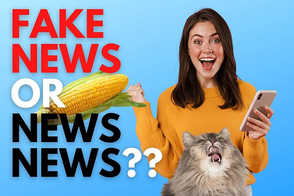 Southern Utah: Here’s This Week’s Fake News or News News