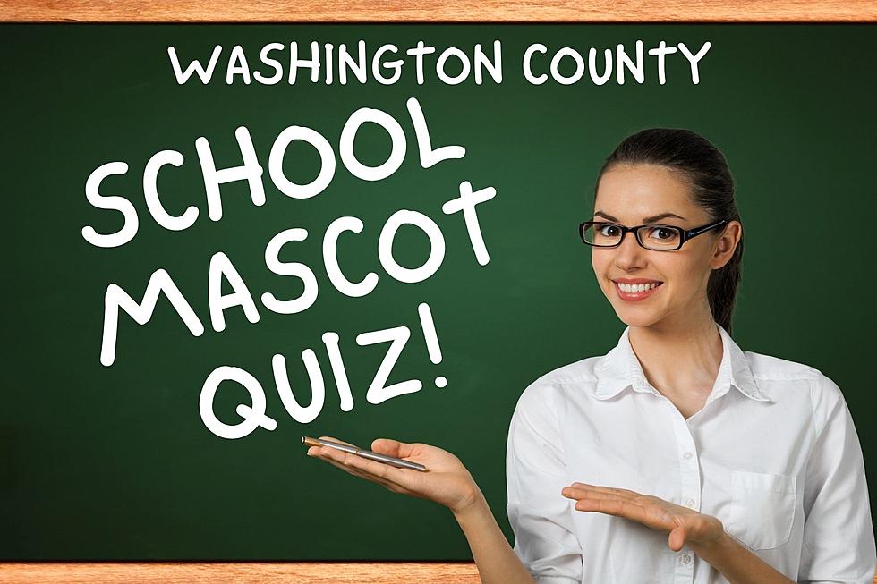 Do You Know These Washington County Elementary School Mascots?