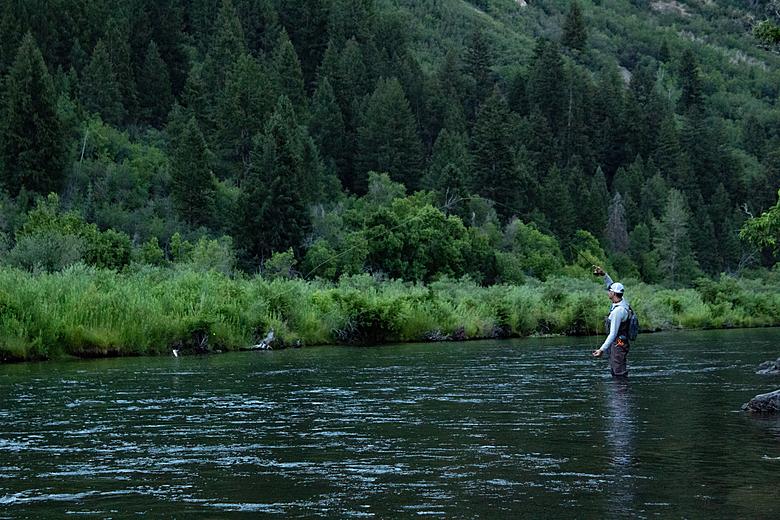 Scenic Wilderness Fly Fishing in Utah