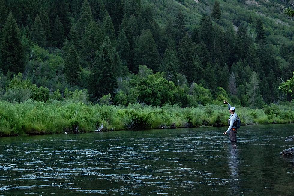River Fishing in Utah: The DWR List