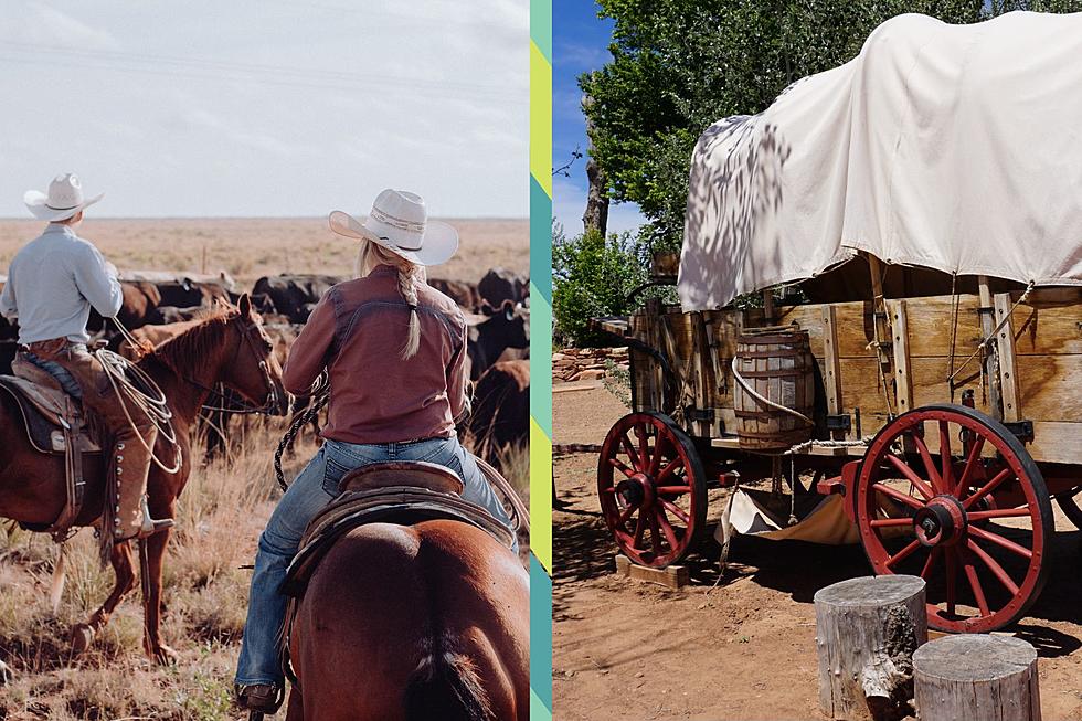 Cowboys and Pioneers of Utah