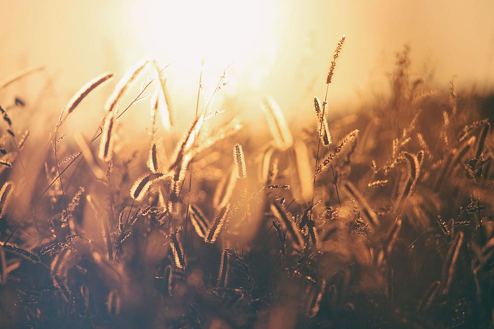 Why You Should Celebrate Lunghnasadh