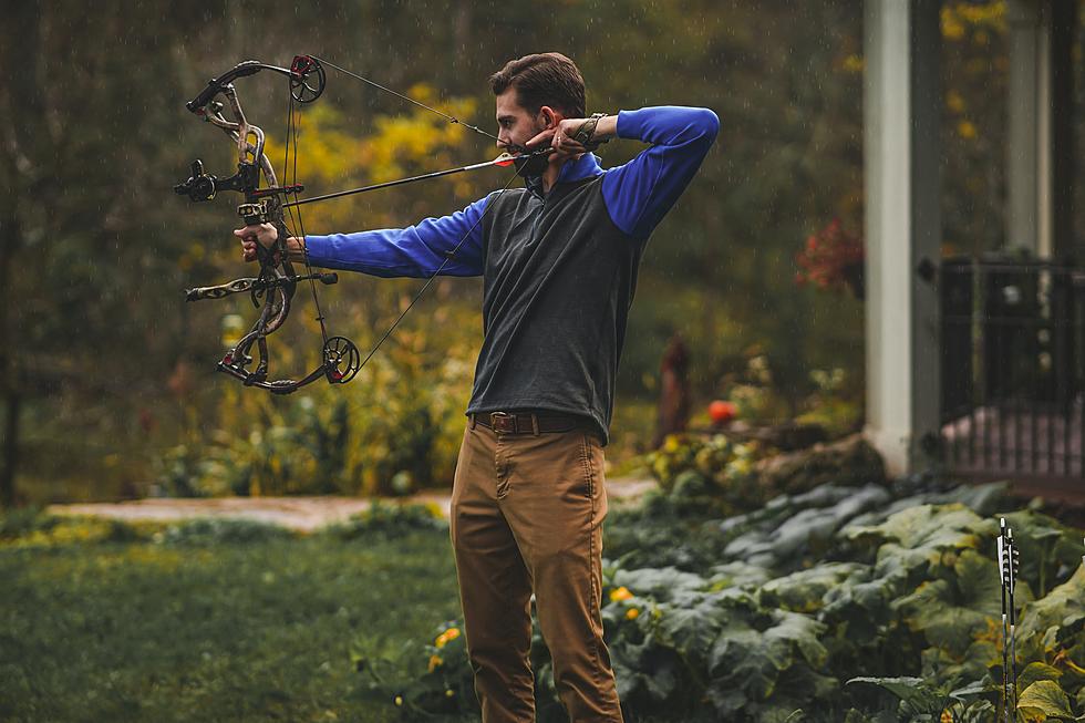 DWR Tips For Archery Hunting