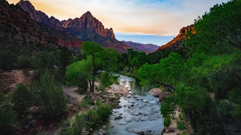 Photo/Tom Gainor on Unsplash
