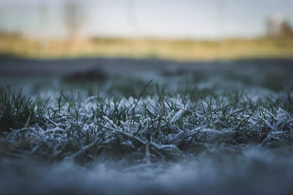 Photo by Anastasiya Badun on Unsplash