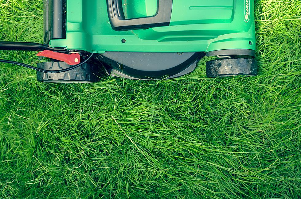 When Should You Stop Mowing Your Lawn in Utah?