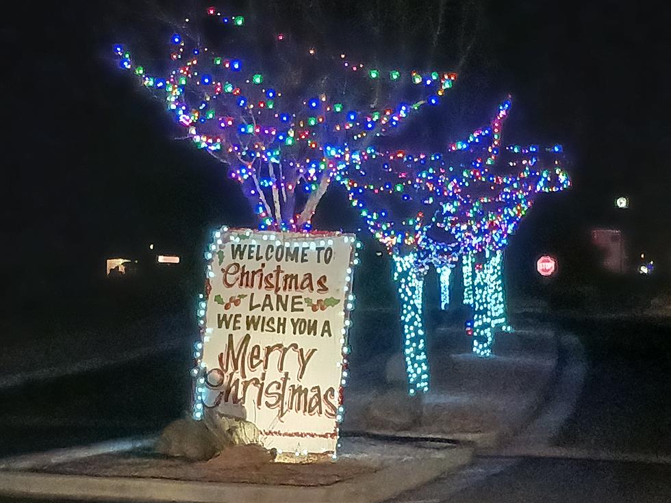 A Colorful and Wonderous Drive Through Christmas Lane in Cedar City
