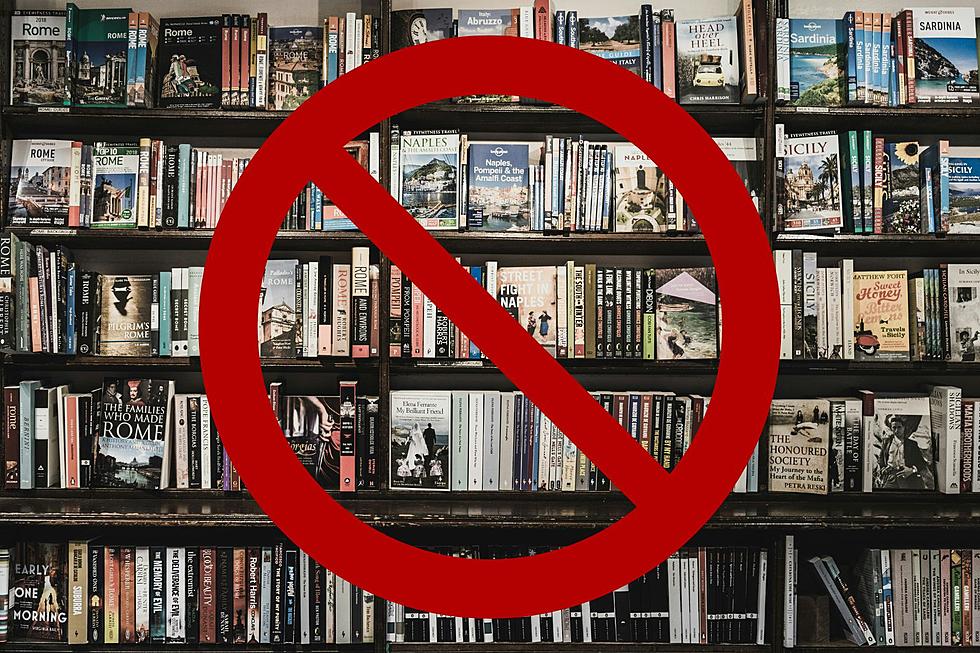 Utah: The Impact Of Book Banning On Youth Reading Habits