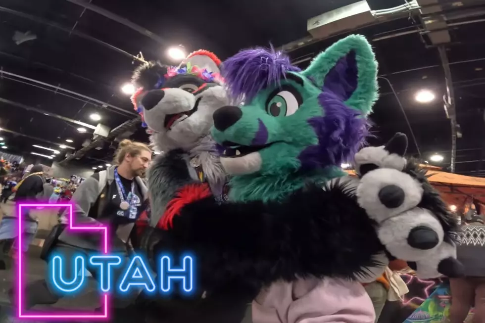 Utah Is Still Showing Concerns Over The Furry Community But Should It?