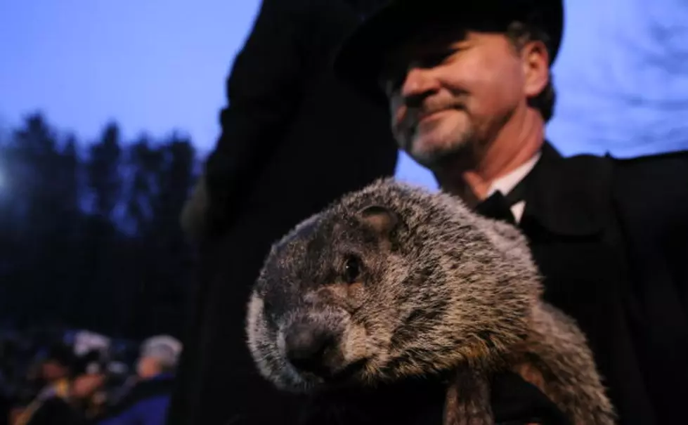 No Shadow: Pennsylvania Groundhog &#8216;Predicts&#8217; Early Spring