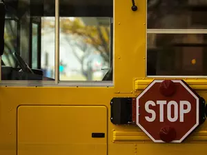 Kids Hurt In Crash At School Bus Stop