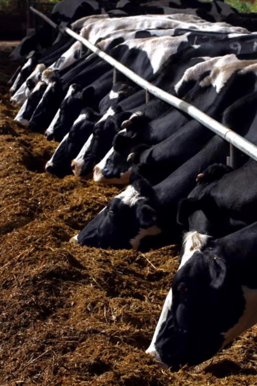 Ag News: Milk Supply Outpaces Demand