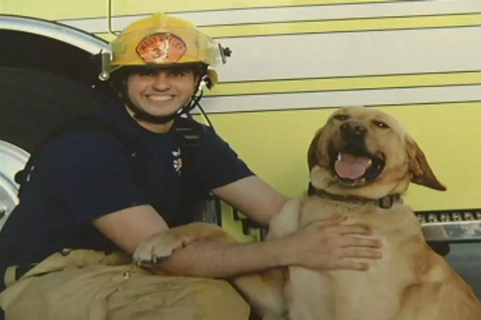 Firefighters Raise Money for Homeless Pets