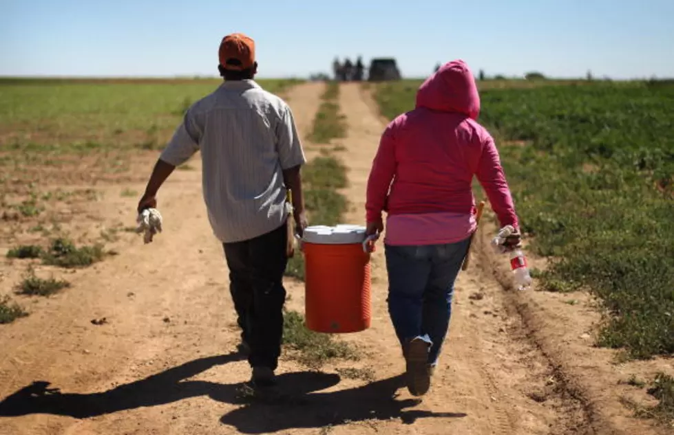 Illegal Immigration and Agriculture Discussed on KIT&#8217;s Mike Bastinelli Show [AUDIO]